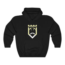 Load image into Gallery viewer, CFO Sports Hooded Sweatshirt
